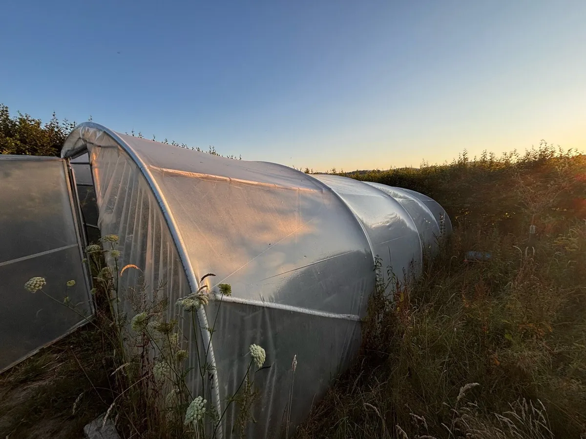 Poly tunnel 8x4.5 - Image 1