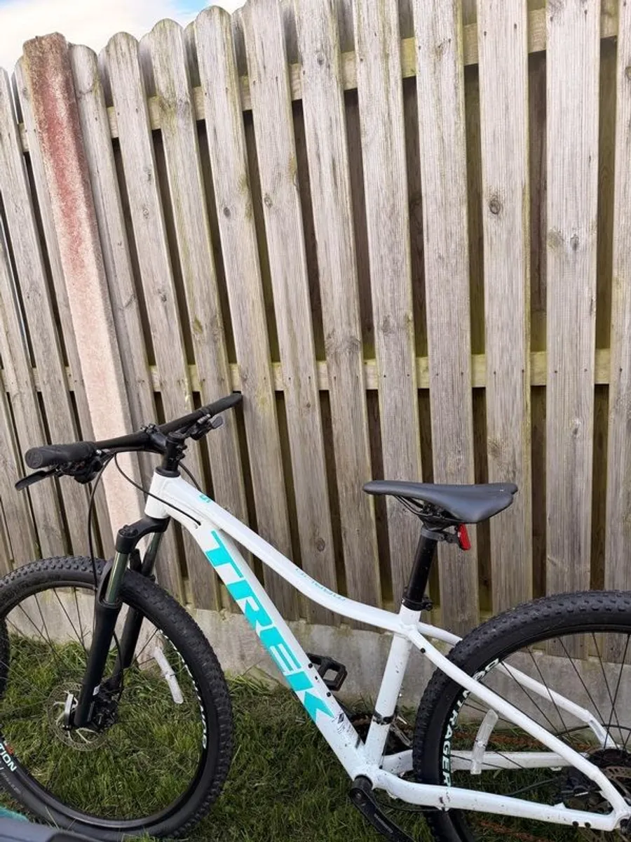 Trek Mountain Bike - Image 2