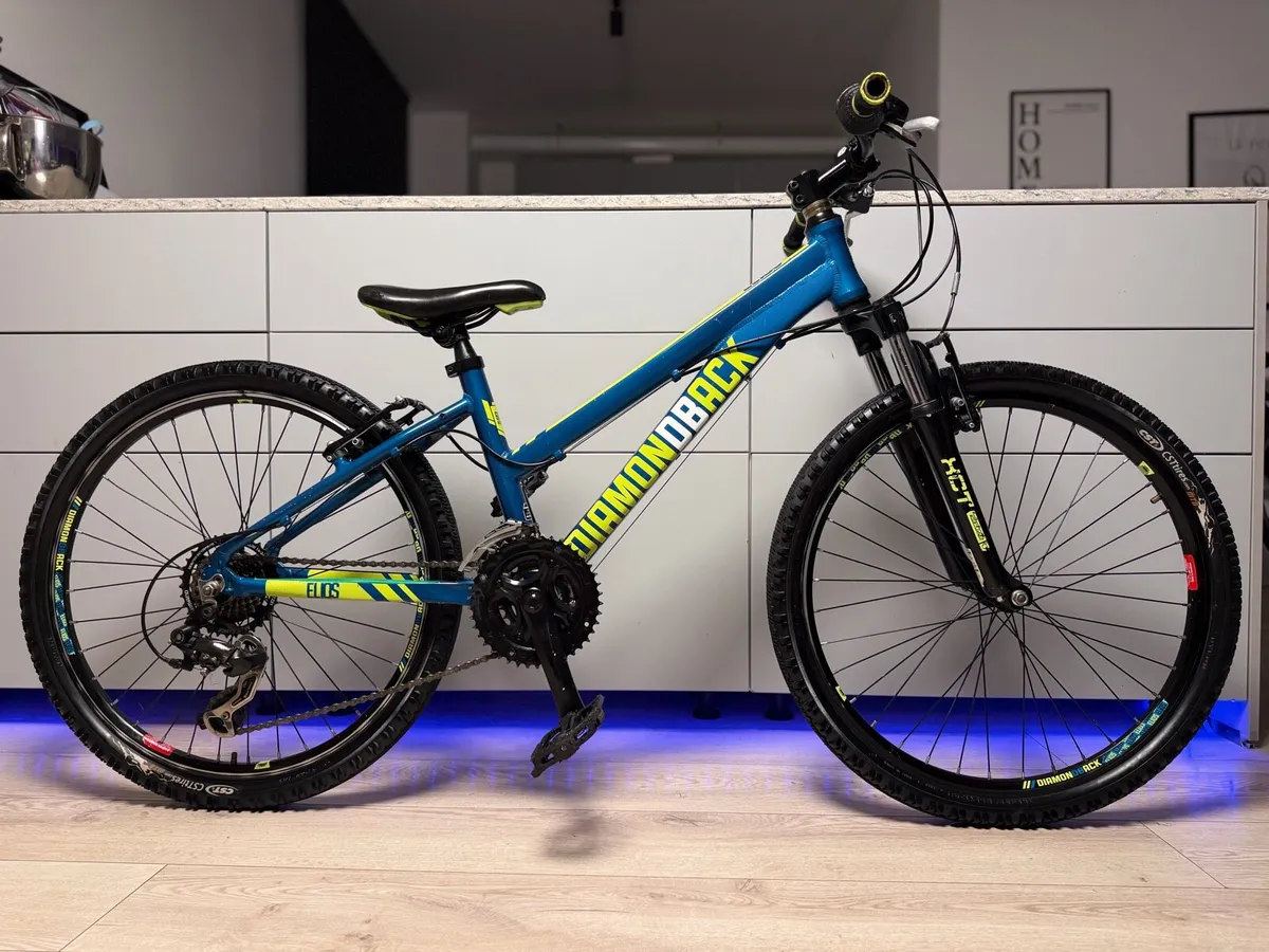 Diamondback Elios Junior Bike 24 inch - Image 1