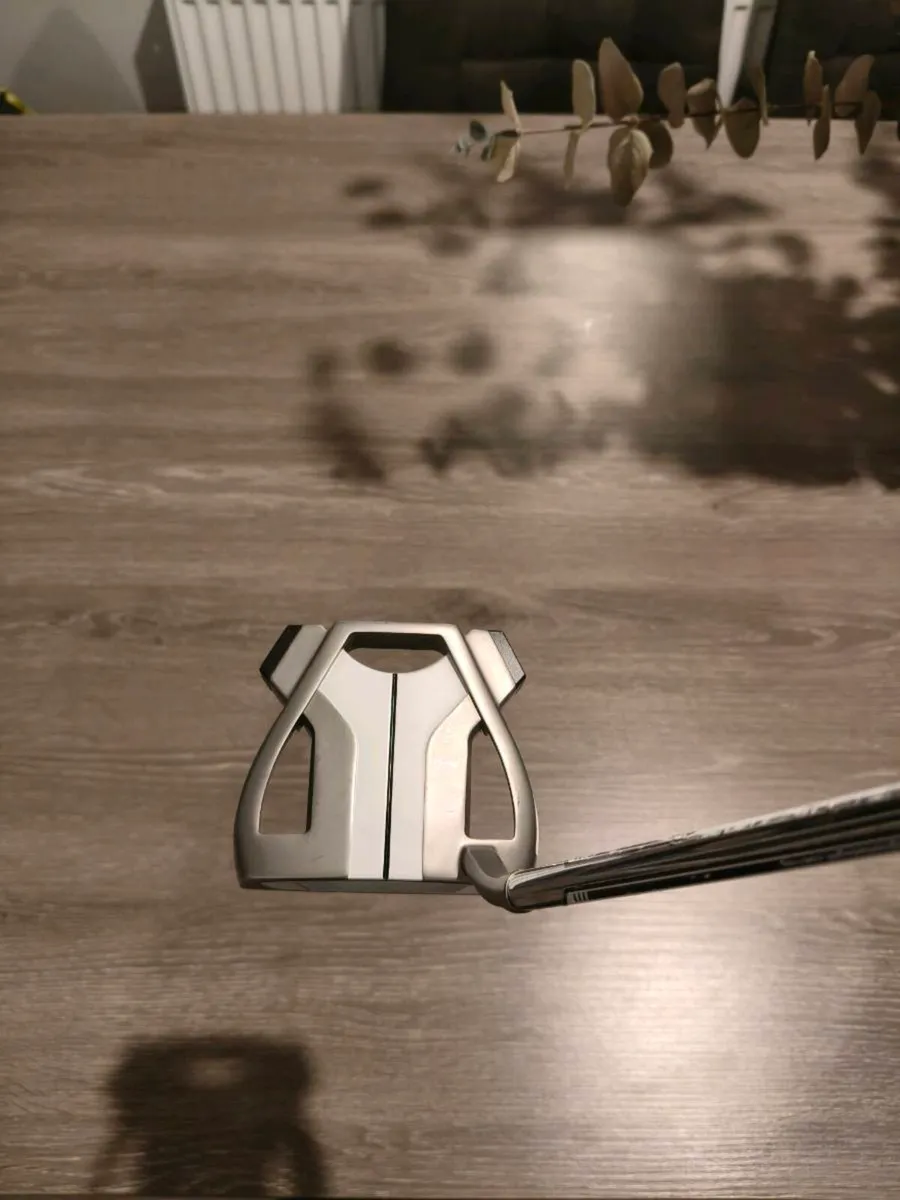 TaylorMade Spider X Hydroblast - Image 1