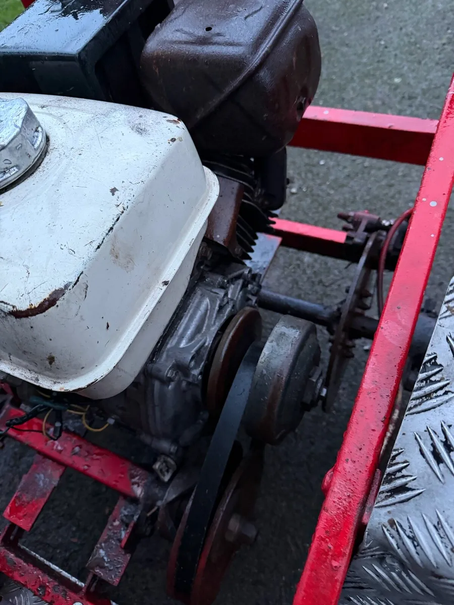 Honda dune buggy - Image 4