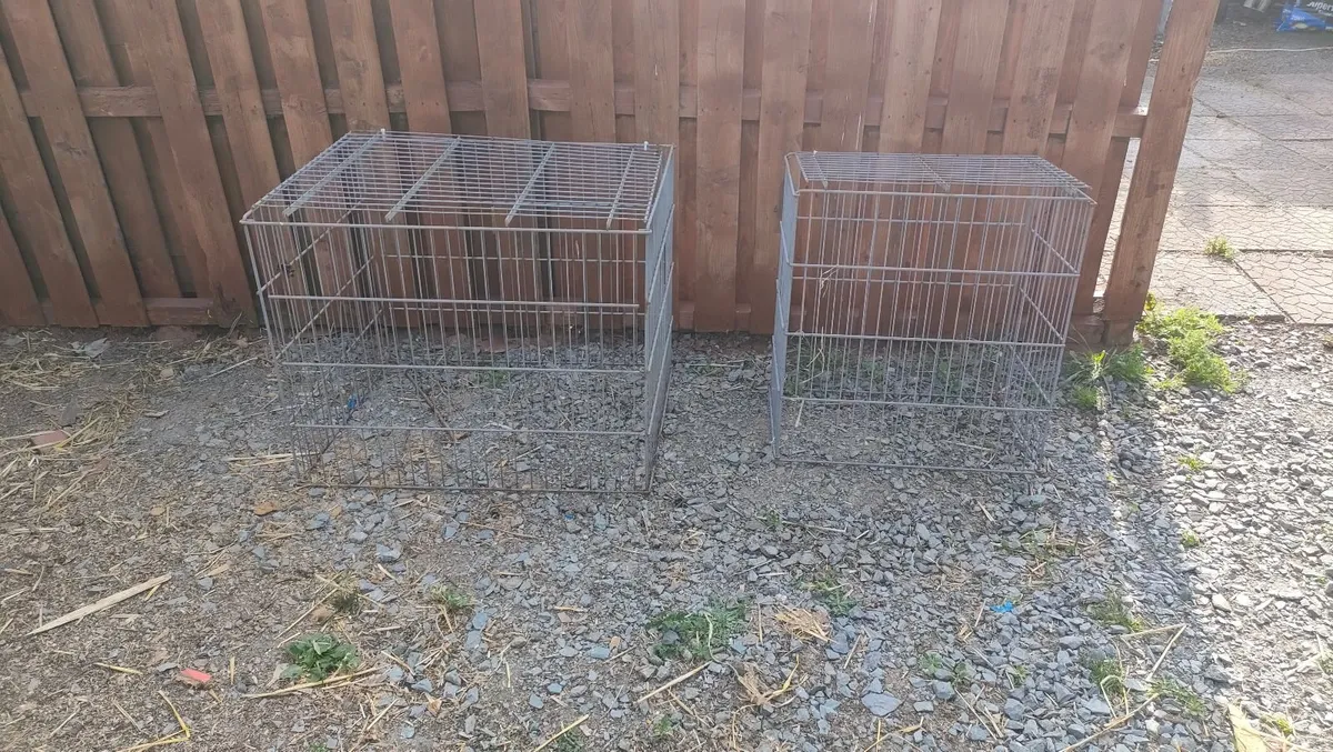 Poultry Cages - Image 1