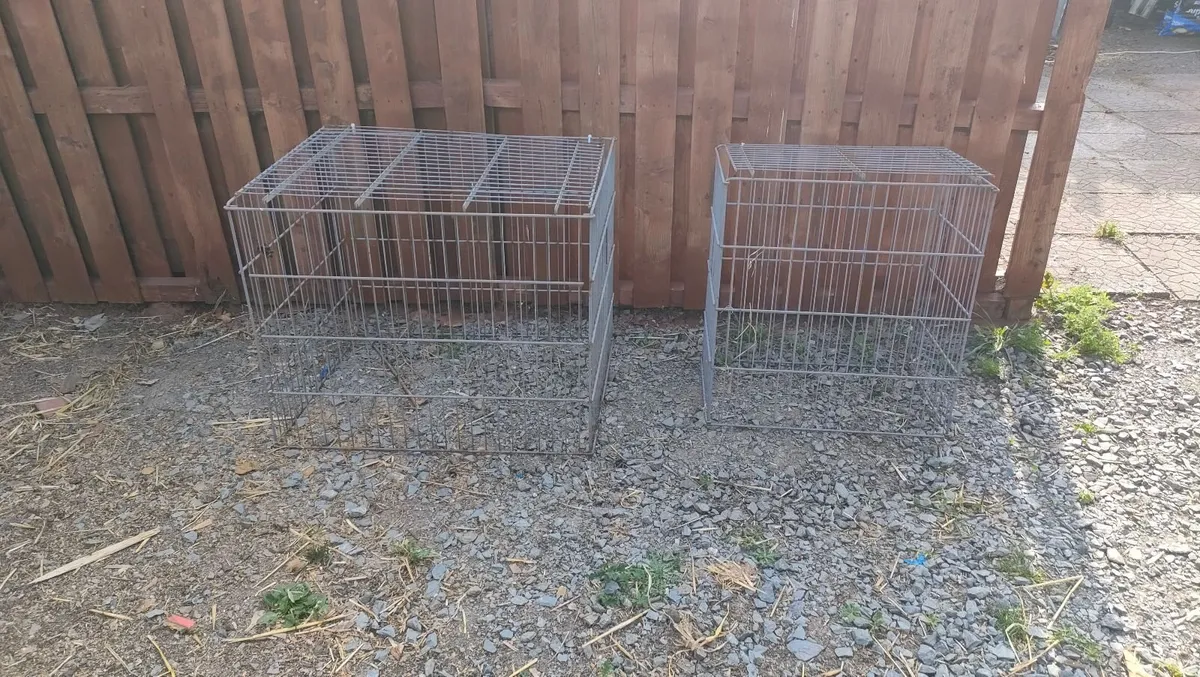 Poultry Cages - Image 2
