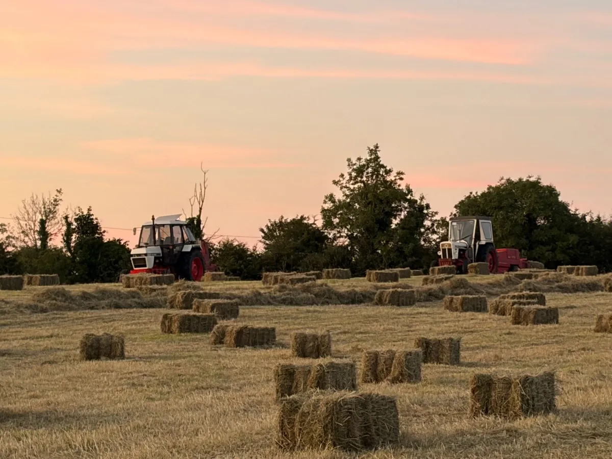 Hay