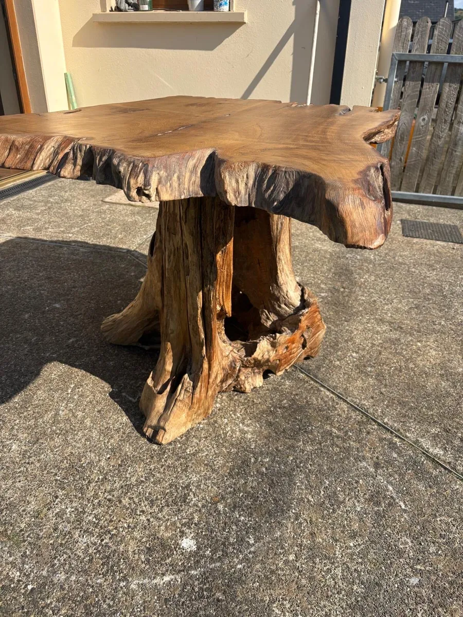 Bog wood table - Image 1