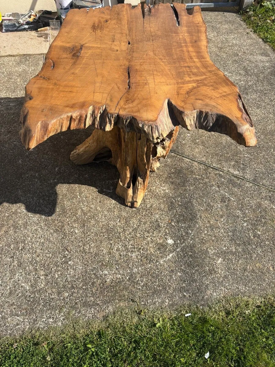 Bog wood table - Image 2