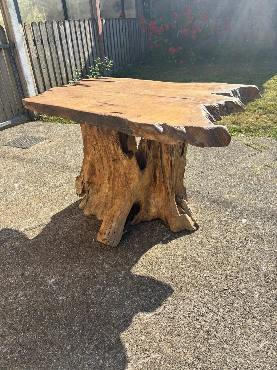 Bog wood table - Image 3