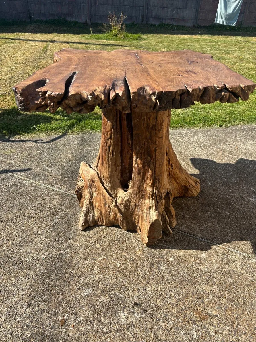 Bog wood table - Image 4