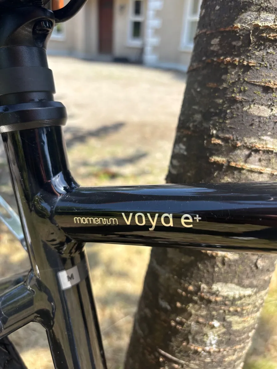 Momentum voyae + E bike - Image 4