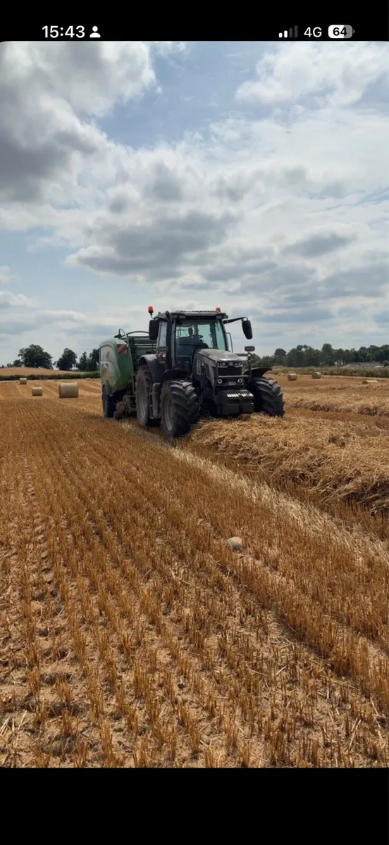 Barley straw - Image 2