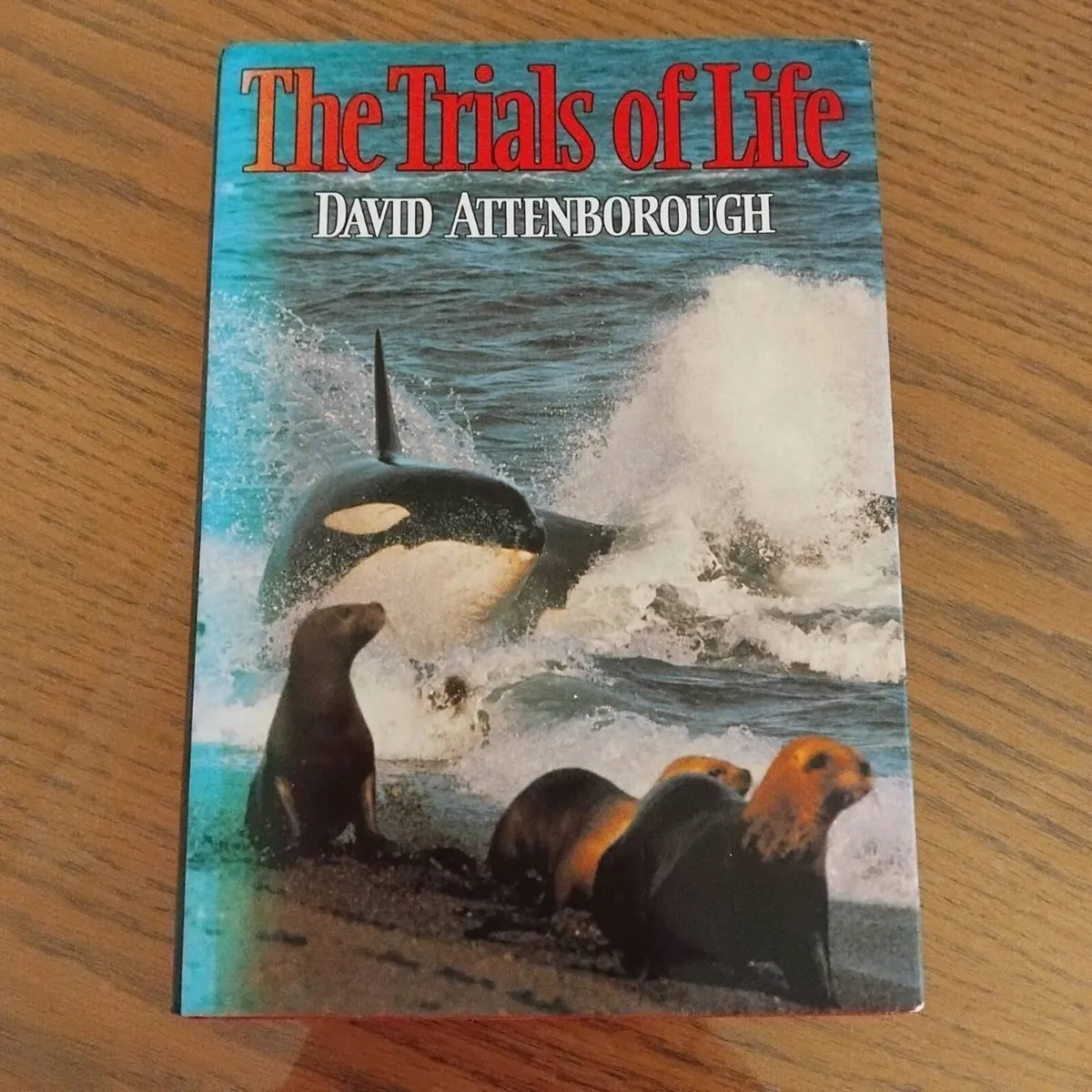 Book - Image 1