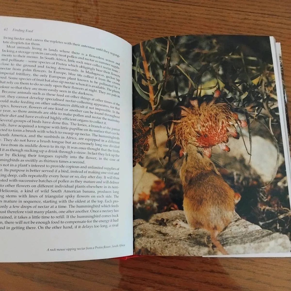 Book - Image 3