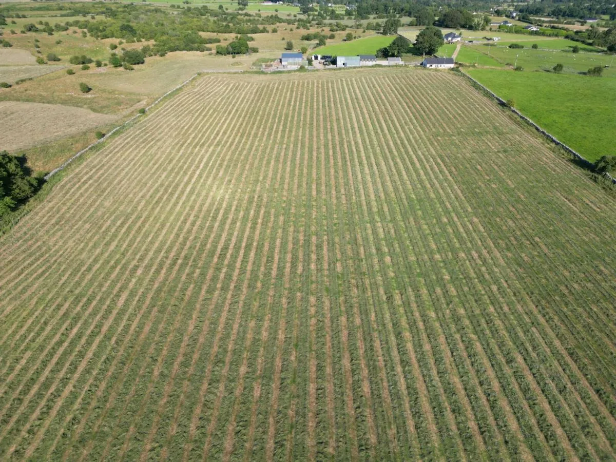 100 Organic Silage bales
