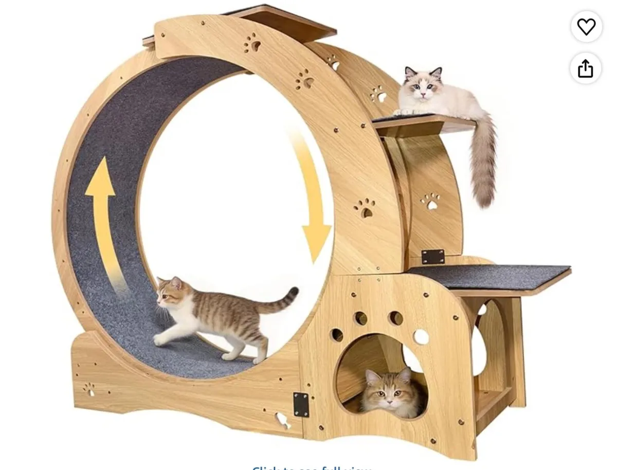 Cat Excerise Wheel (Large) - Image 2