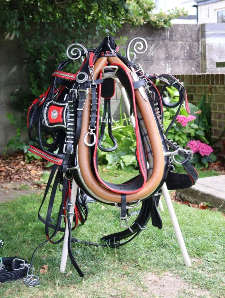 Harness - Image 3