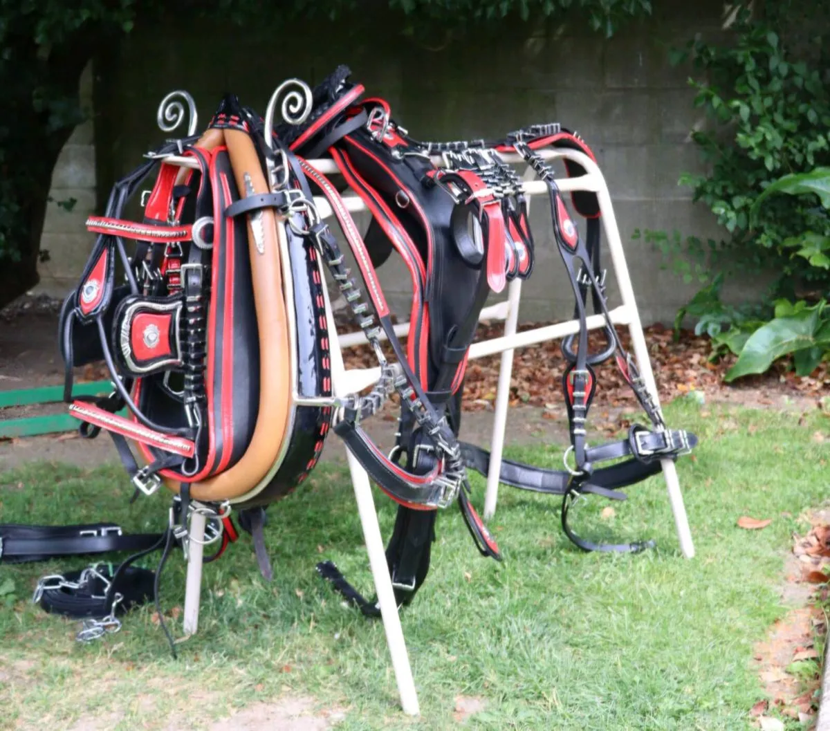 Harness - Image 4