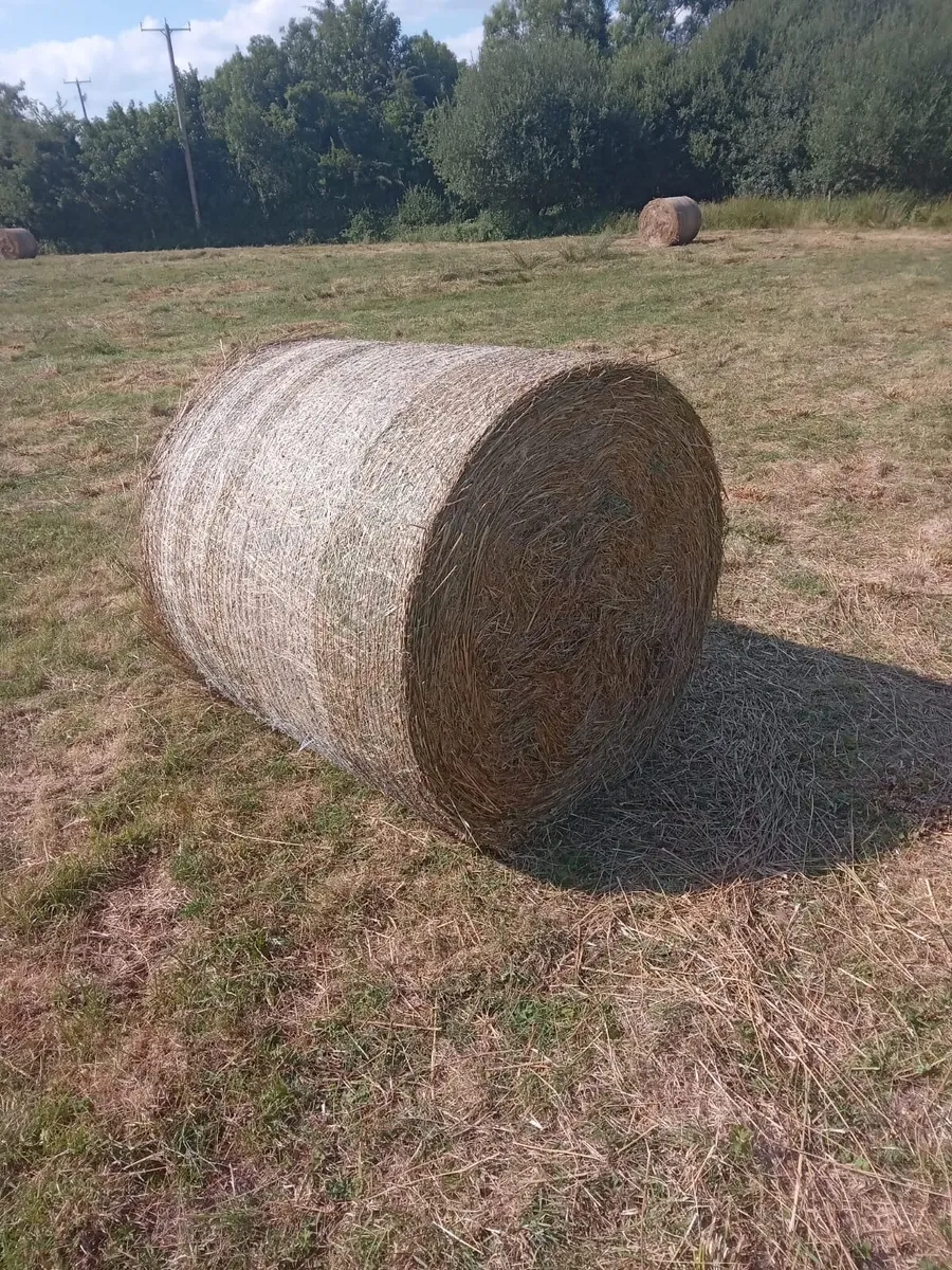 18 x Round Bales Well Saved Bedding