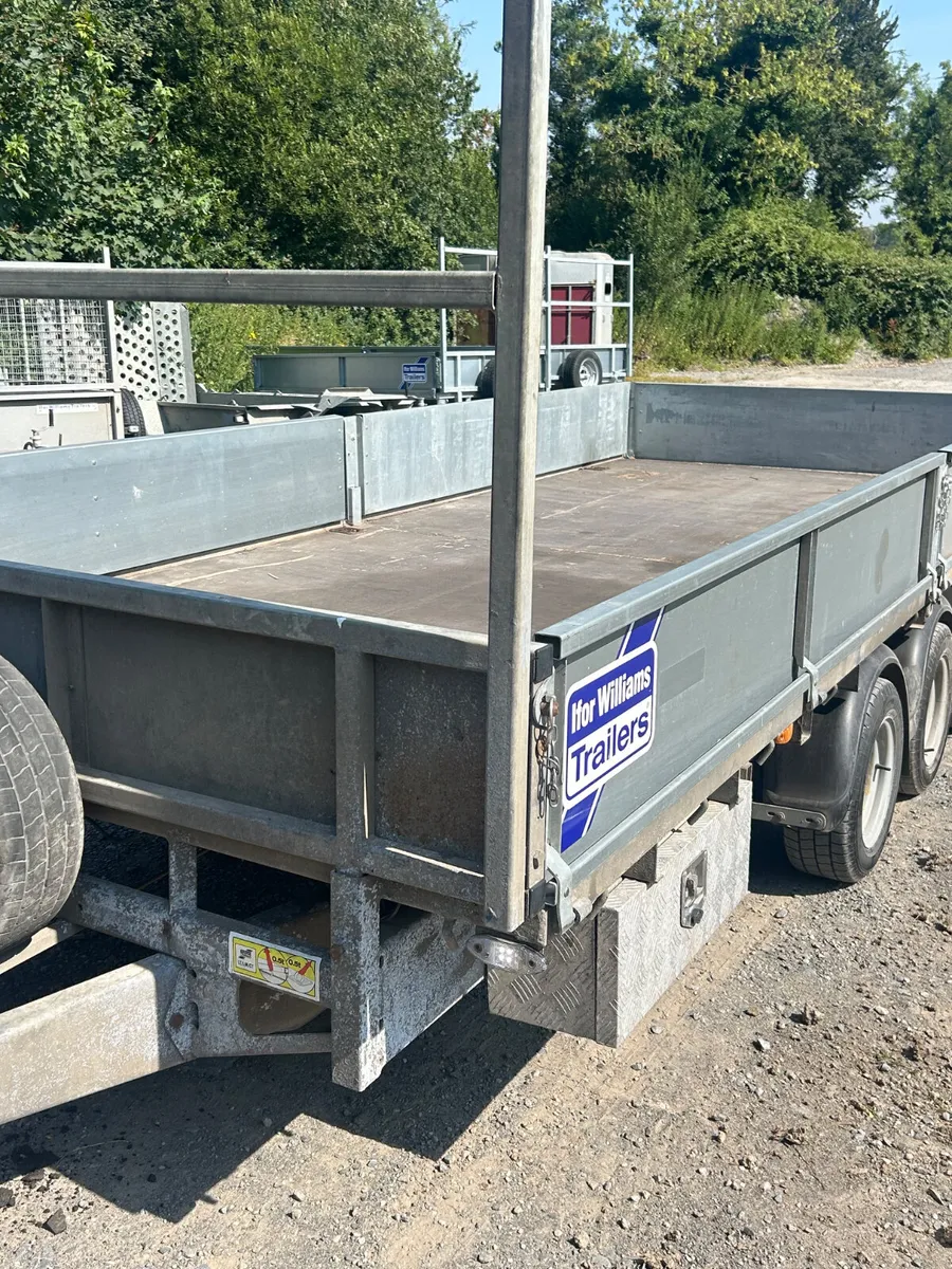 2023 Ifor Williams 16x6.6 Tri  LM166  Trailer - Image 2