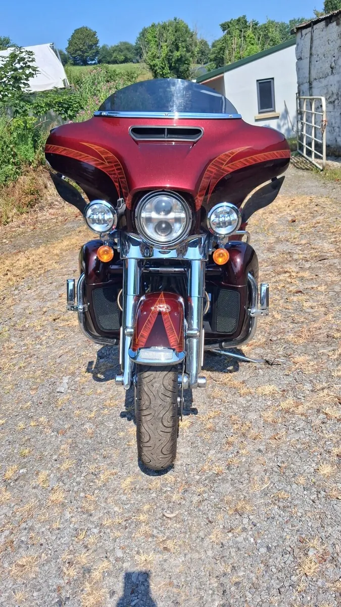 Harley - Image 3
