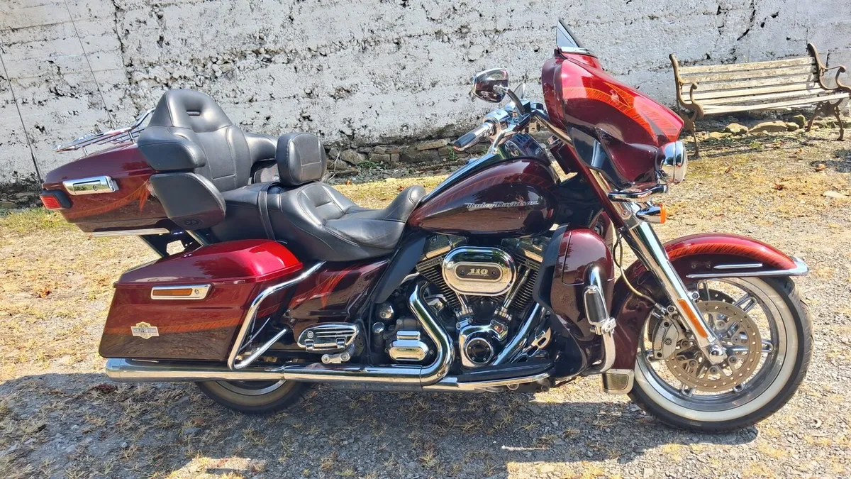 Harley - Image 4