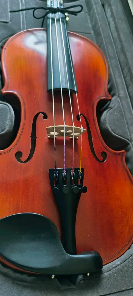 1/2 size Eastman Westbury violin - Image 3