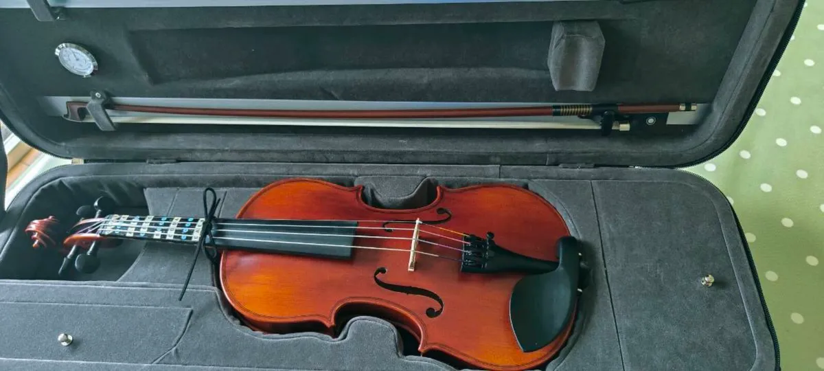 1/2 size Eastman Westbury violin - Image 2