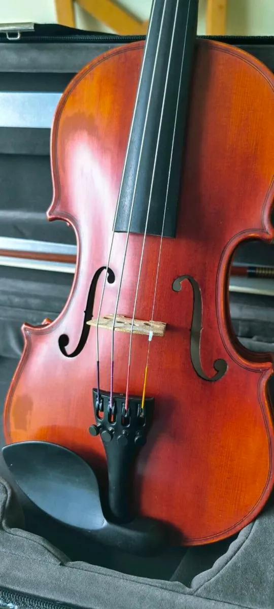 1/2 size Eastman Westbury violin - Image 4