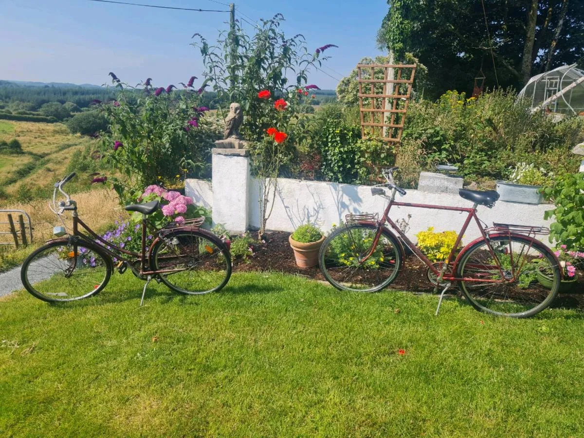 Vintage his and hers Raleigh bicycles - Image 1
