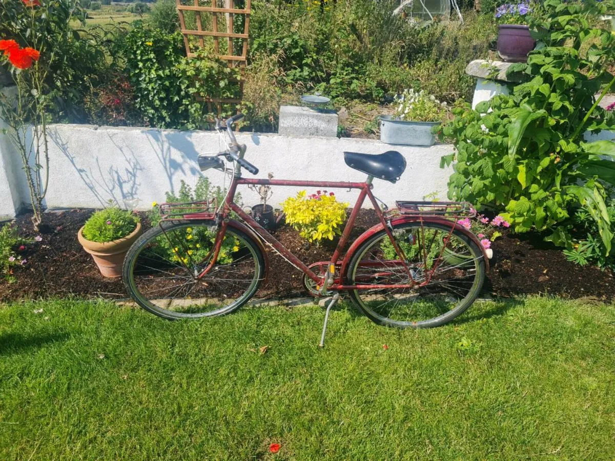 Vintage his and hers Raleigh bicycles - Image 2
