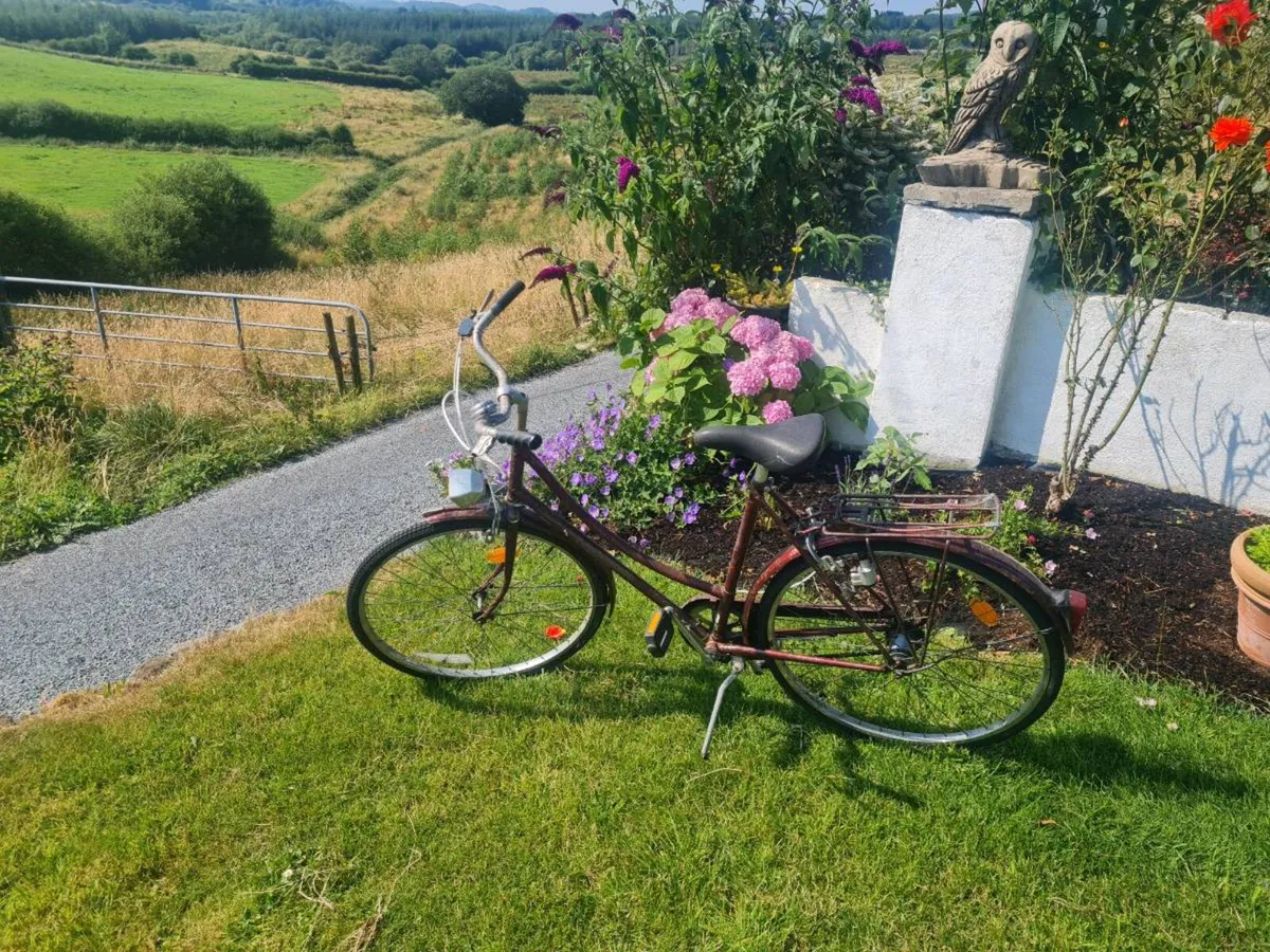 Vintage his and hers Raleigh bicycles - Image 3