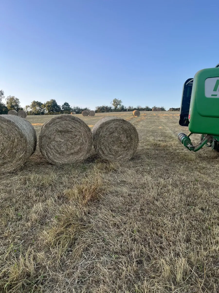Hay for sale - Image 1