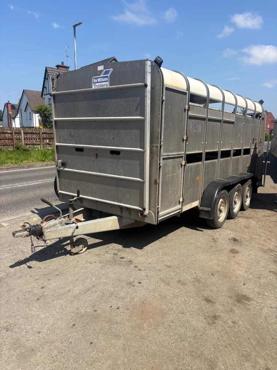 Ifor Williams 14ft livestock trailers - Image 1