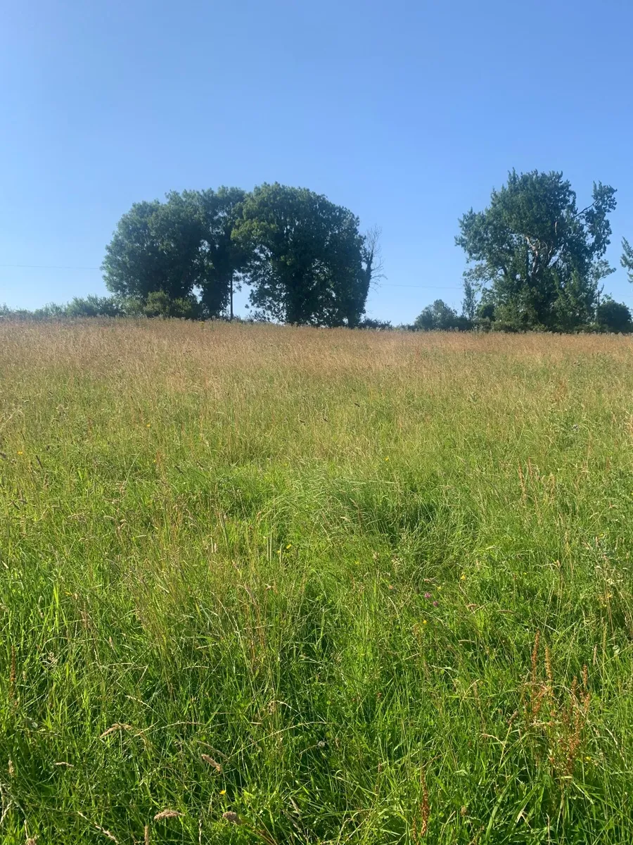 Silage bales - Image 1