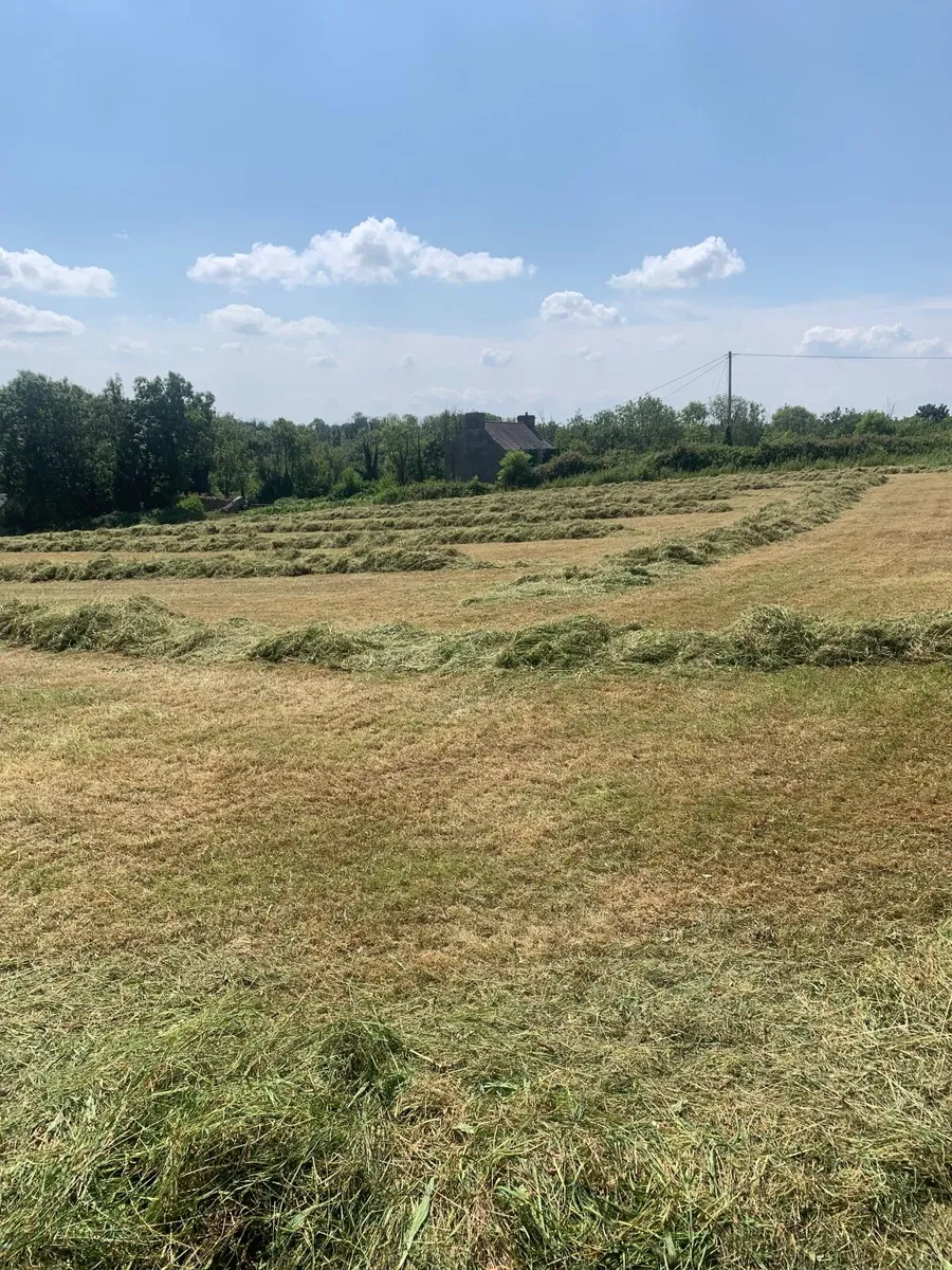 Silage bales - Image 2