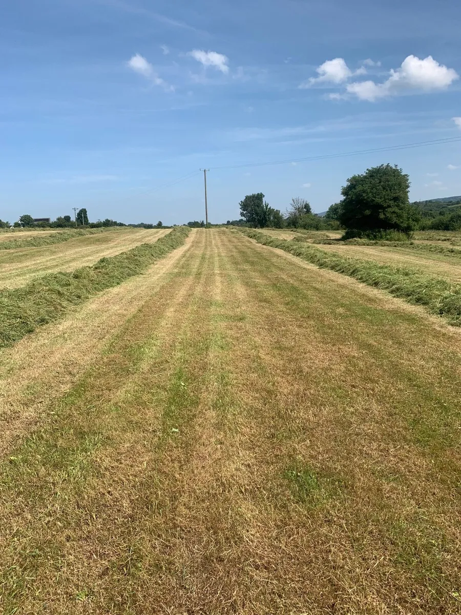 Silage bales - Image 3