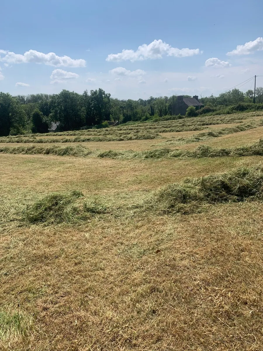 Silage bales - Image 4