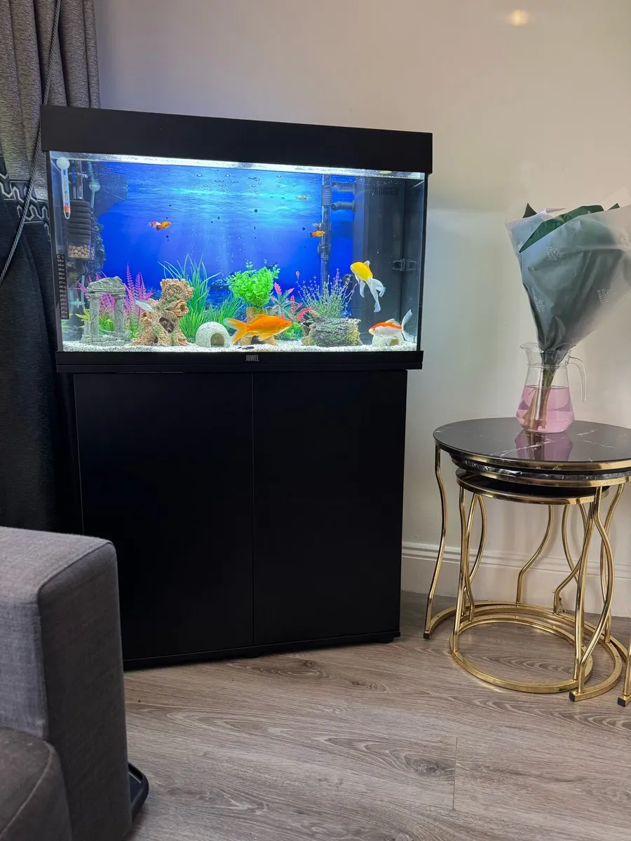 Fish tank - Image 4