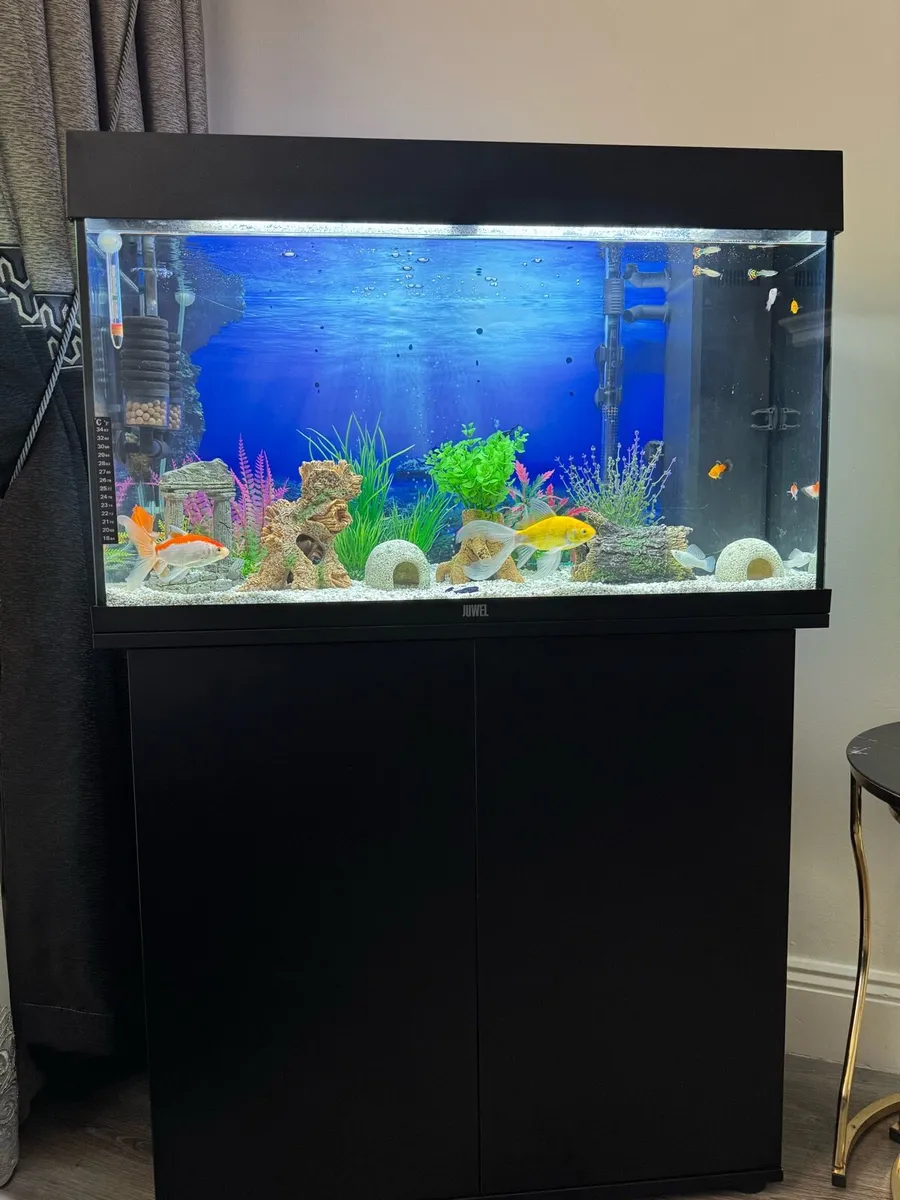 Fish tank - Image 1