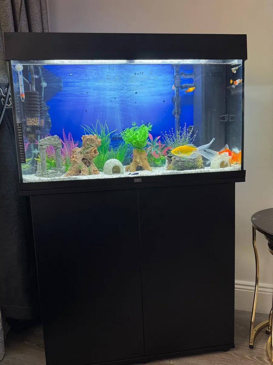Fish tank - Image 2