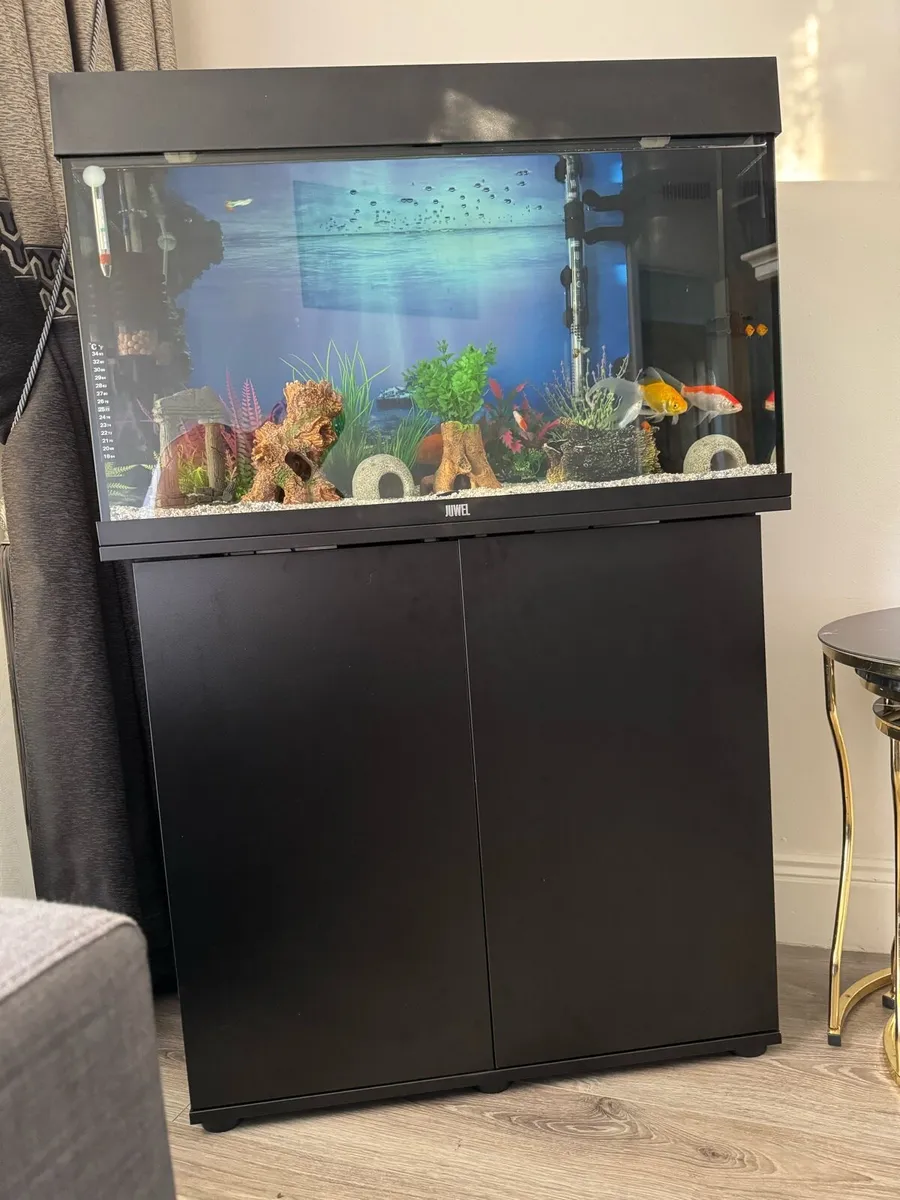 Fish tank - Image 3