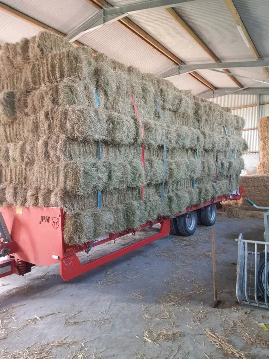 Square bales of hay