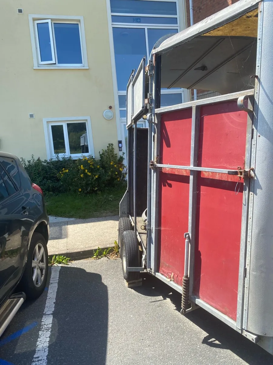 Ivor Williams horsebox - Image 3
