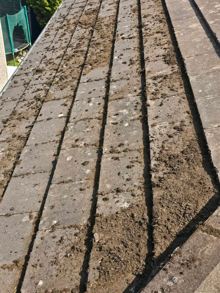 ROOFING CLEANER - Image 1