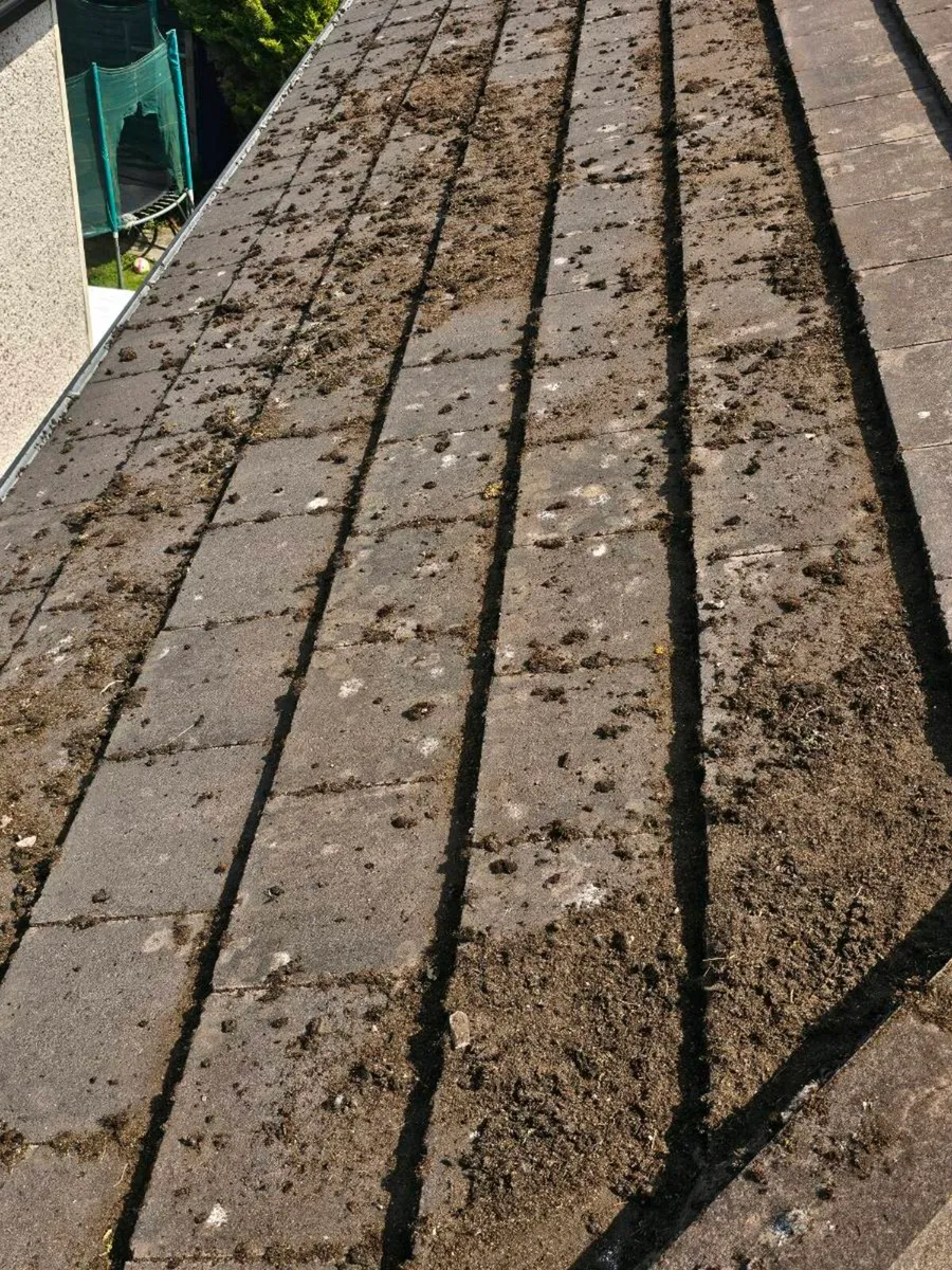 ROOFING CLEANER - Image 2