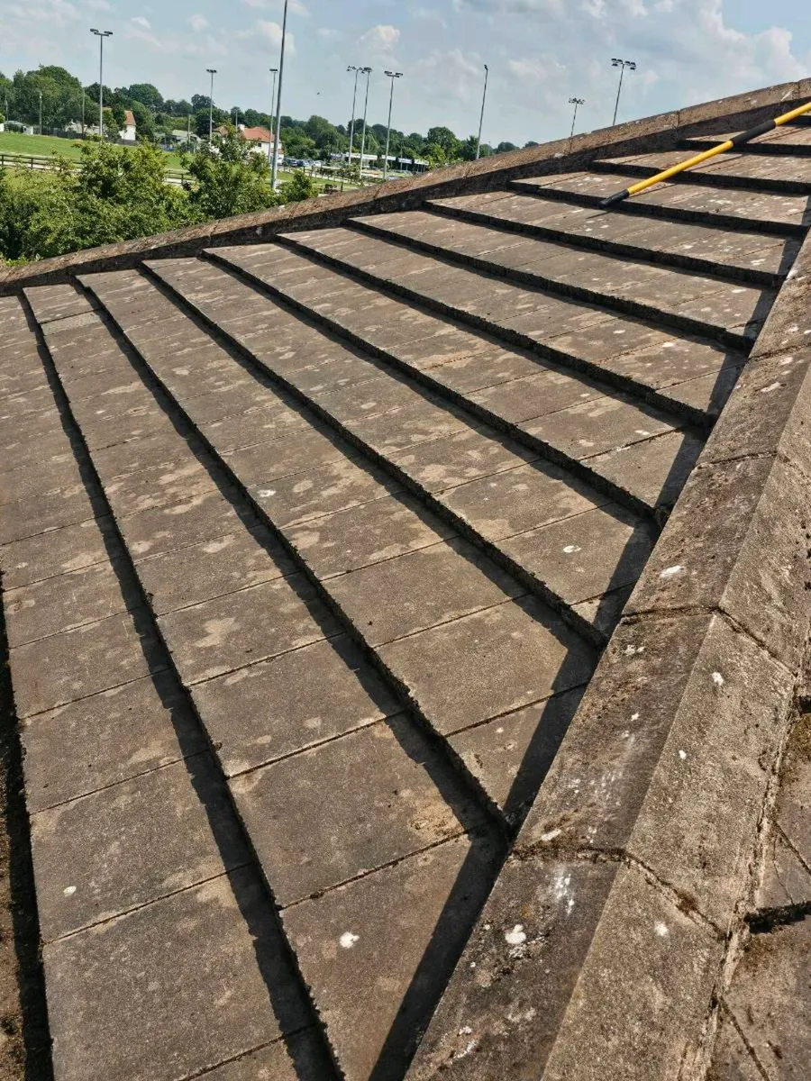 ROOFING CLEANER - Image 3