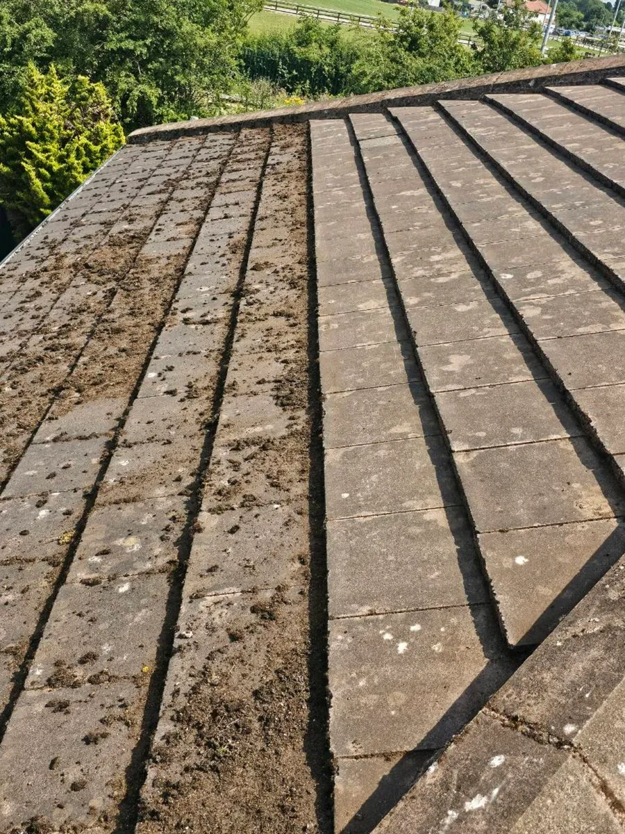 ROOFING CLEANER - Image 4