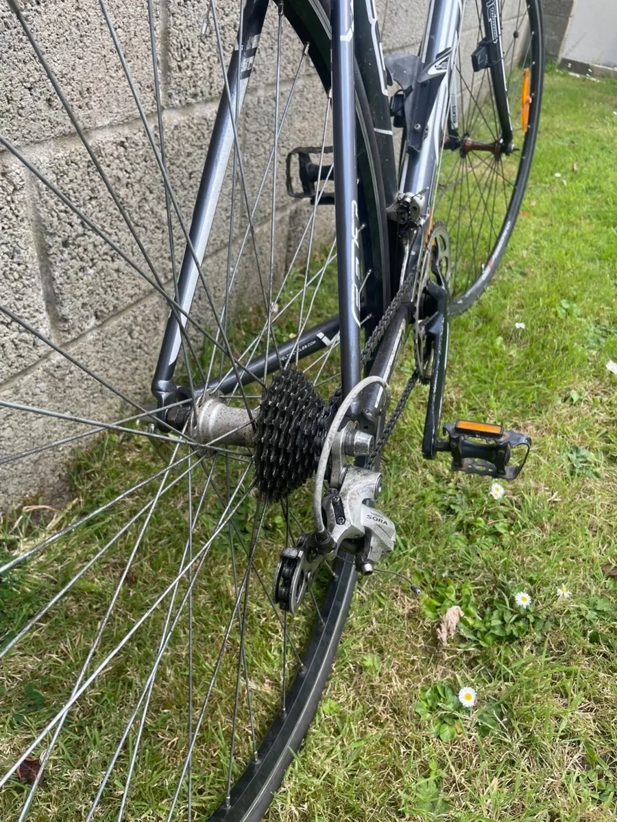 Adult road bike - Image 2