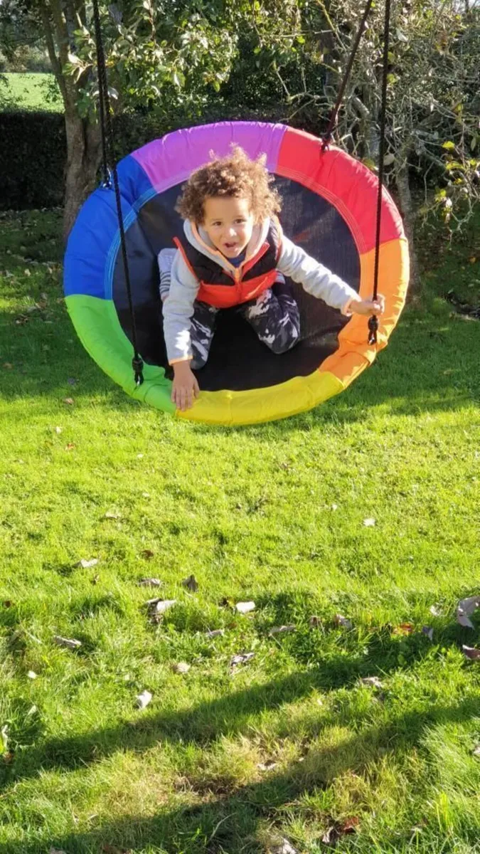 Rainbow Nest Swing - Image 4