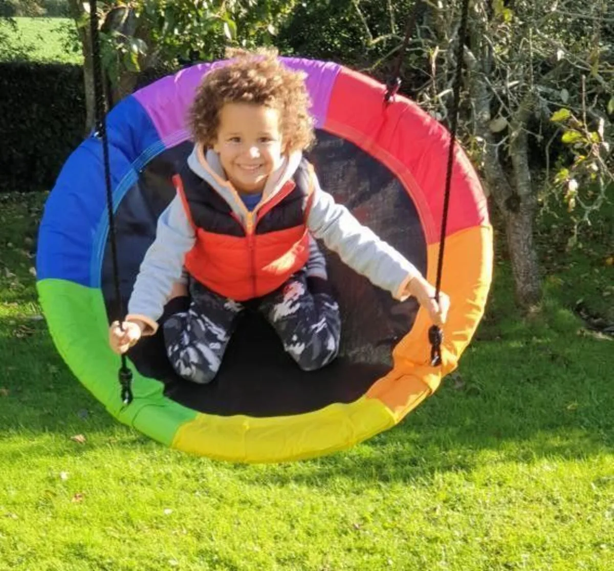 Rainbow Nest Swing - Image 1