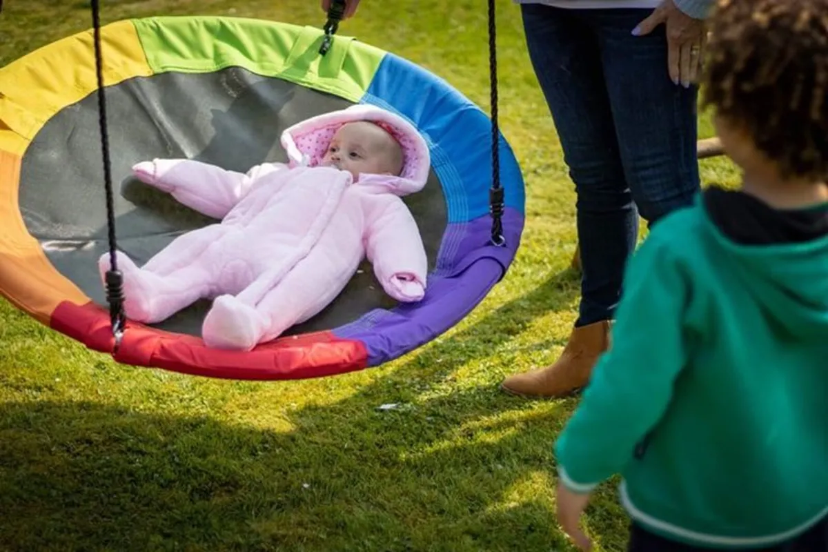 Rainbow Nest Swing - Image 3